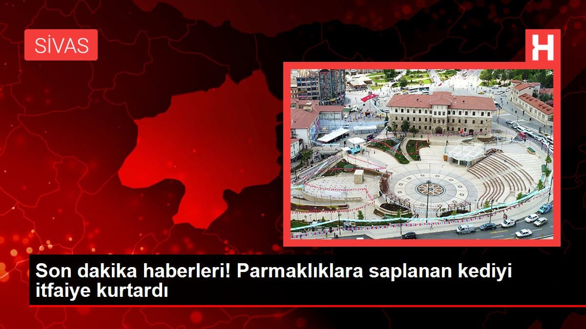 son dakika haberleri parmakliklara saplanan kediyi itfaiye kurtardi Md85nD65 | Gündem Sivas™ | Sivas Haberleri