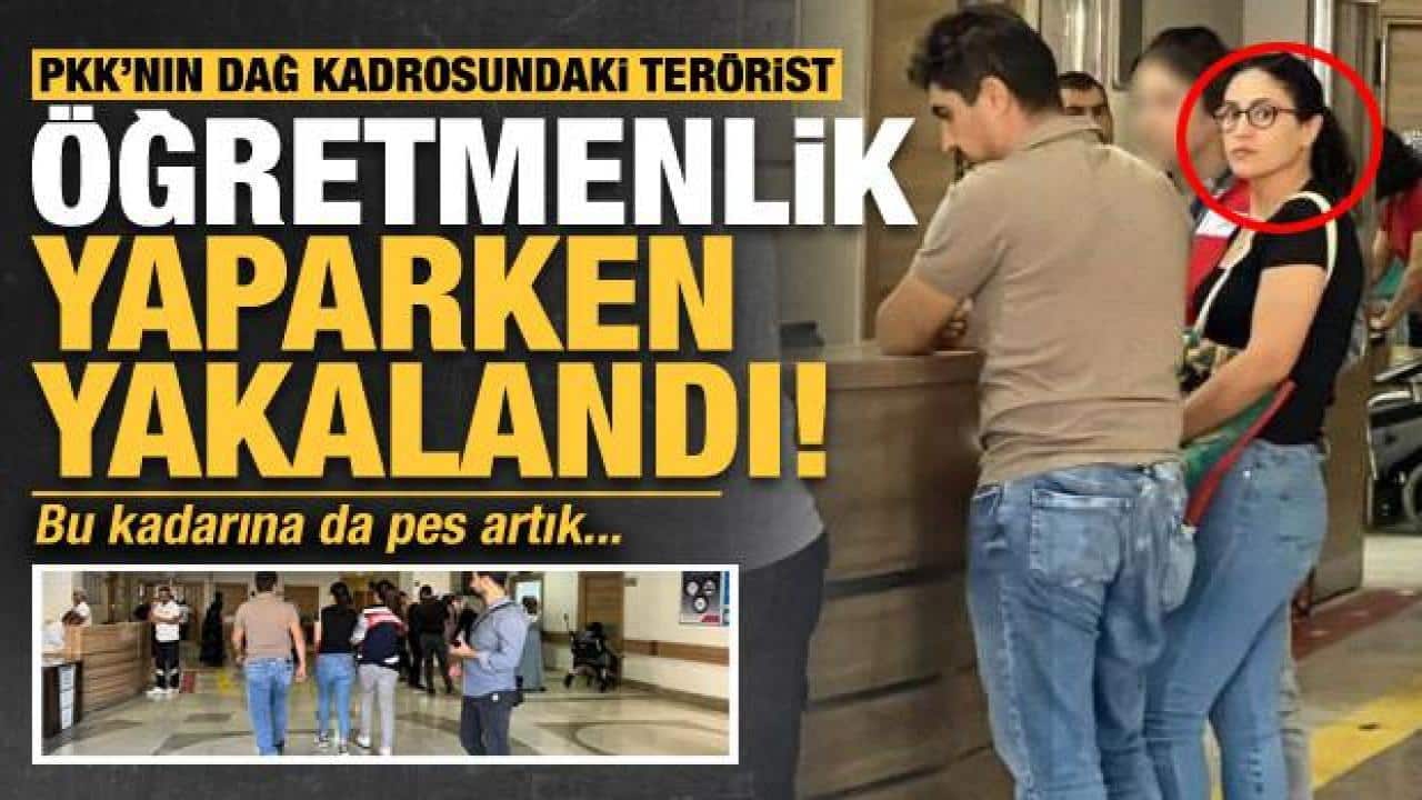 bu kadarina da pes artik pkknin dag kadrosundan gelip ogretmenlik yaparken yakalandi gundem sivas GIC2zGNU | Gündem Sivas™ | Sivas Haberleri