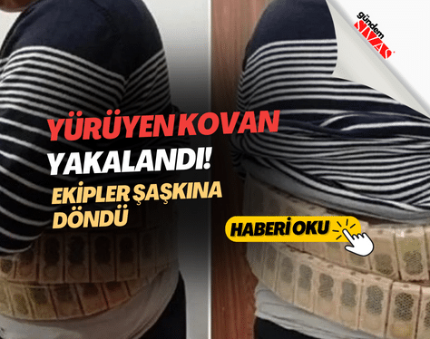 Yuruyen kovan yakalandi Ekipler gorunce saskina dondu GUNDEM SIVAS | Gündem Sivas™ | Sivas Haberleri