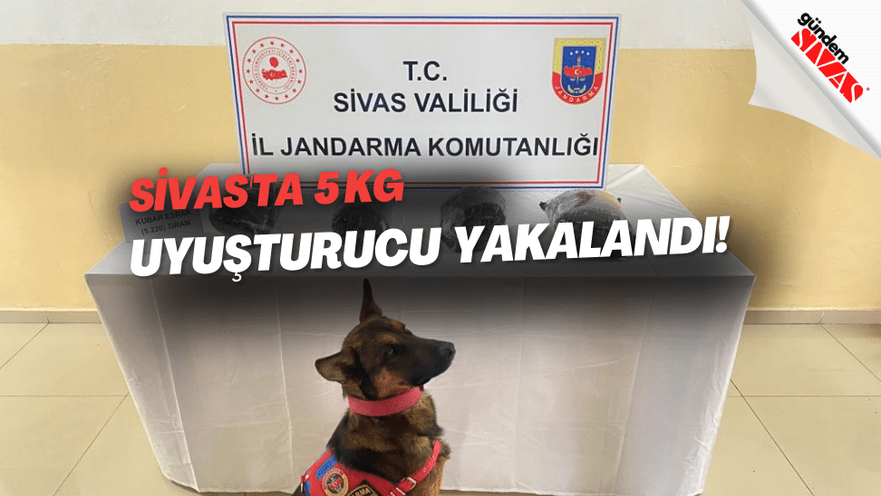 Sivasta 5 KG Uyusturucu Yakalandi | Gündem Sivas™ | Sivas Haberleri