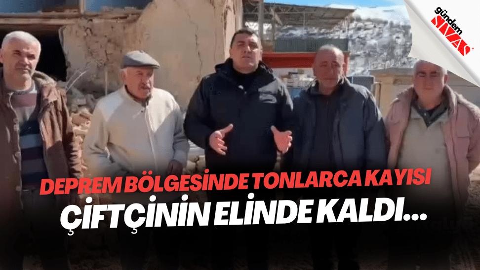 deprem bolgesinde tonlarca kayisi ciftcinin elinde kaldi | Gündem Sivas™ | Sivas Haberleri