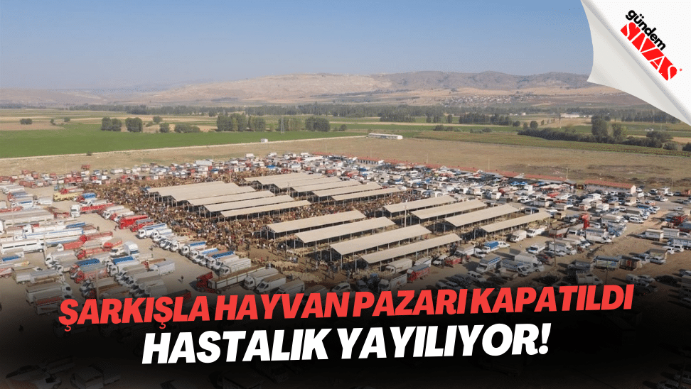 Sarkisla Hayvan Pazari Kapatildi Hastalik Yayiliyor | Gündem Sivas™ | Sivas Haberleri