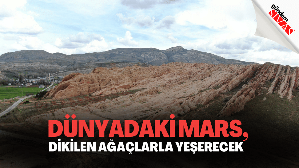 Dunyadaki Mars Dikilen Agaclarla Yeserecek | Gündem Sivas™ | Sivas Haberleri