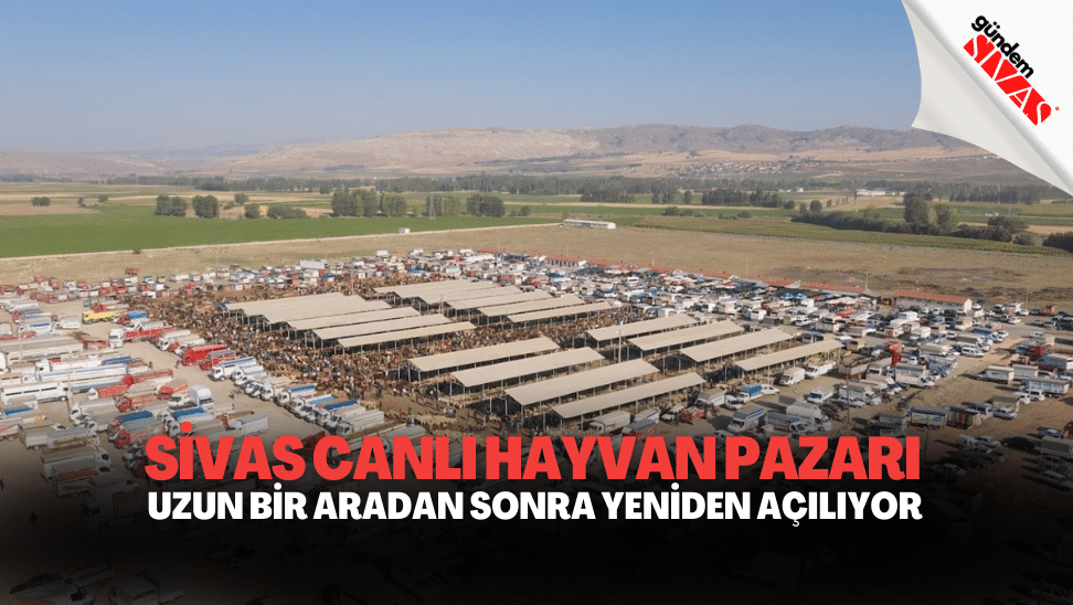 Sivas Canli Hayvan Pazari Yeniden Aciliyor3 | Gündem Sivas™ | Sivas Haberleri