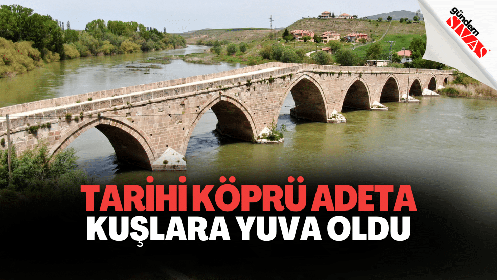Tarihi Köprü Adeta Kuşlara Yuva Oldu