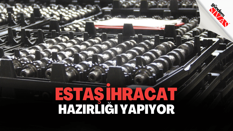 ESTAŞ İhracat İçin Hazırlık Yapıyor