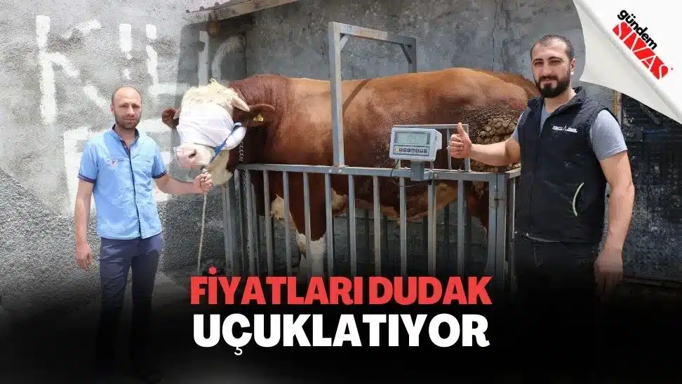 Fiyatları Dudak Uçuklatıyor