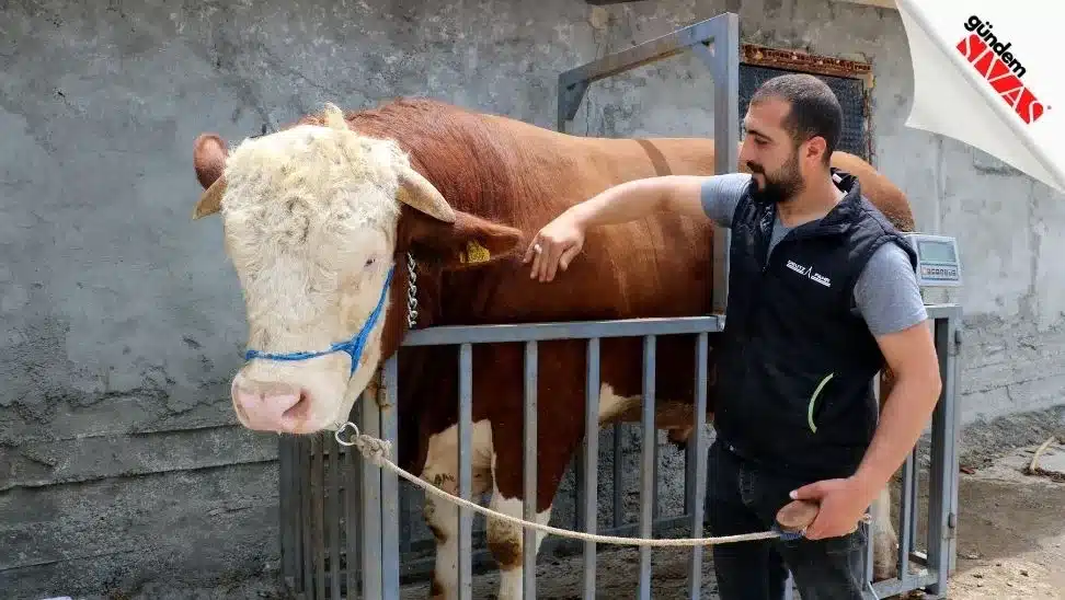 Fiyatlari Dudak Ucuklatiyor3 jpg | Gündem Sivas™ | Sivas Haberleri