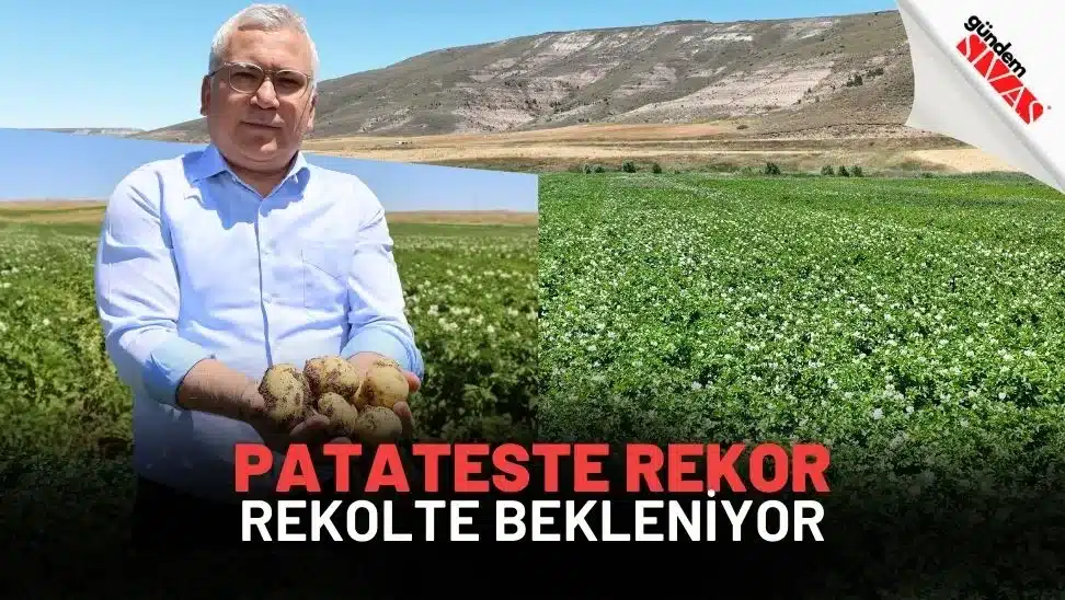 Patateste Rekor Rekolte Bekleniyor