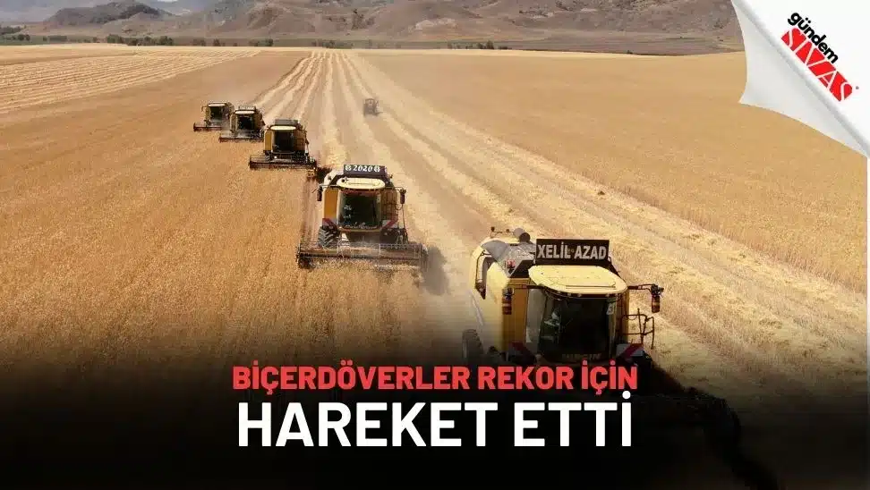 Biçerdöverler Rekor İçin Hareket Etti