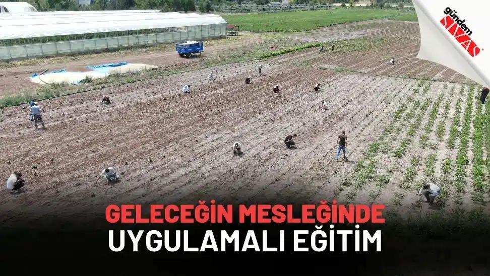 Geleceğin Mesleğinde Uygulamalı Eğitim