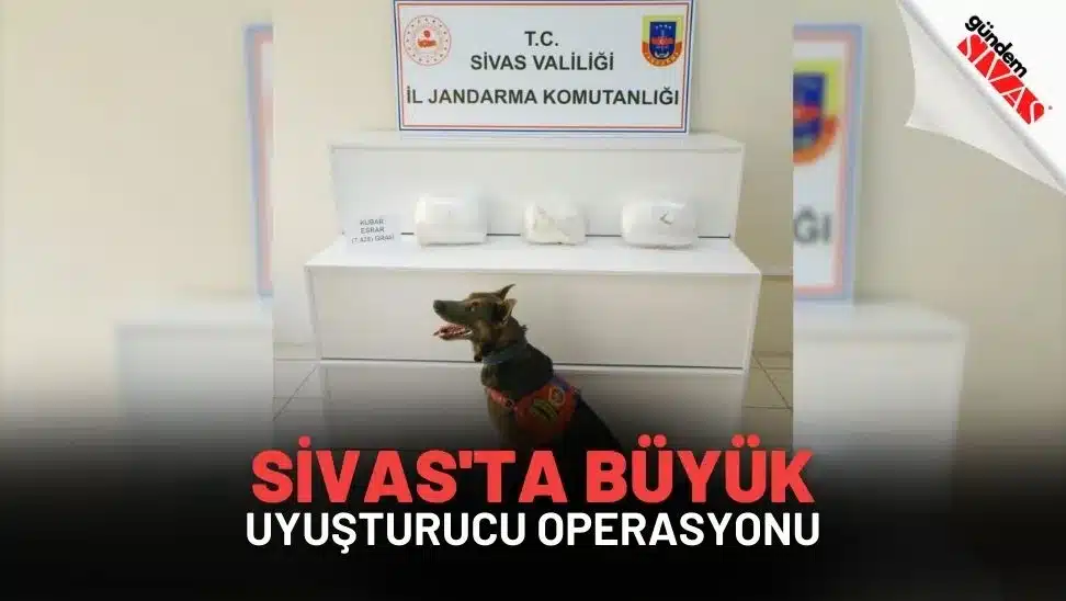 Sivas'ta Büyük Uyuşturucu Operasyonu