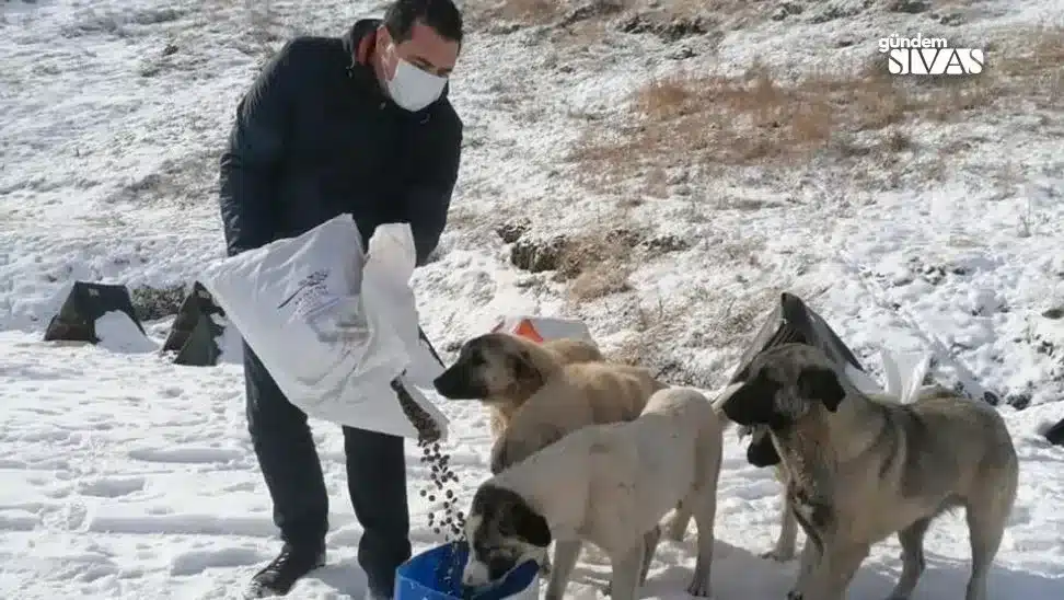 TBMM Gündemine Taşındı Karasu, Bakan Yumaklı'ya Sordu