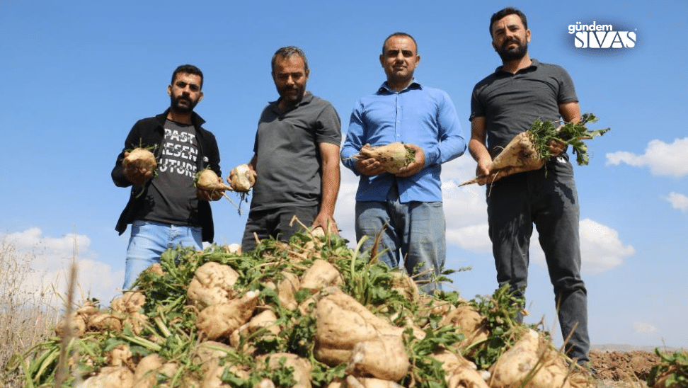 Felaket Çiftçileri Vurdu: Binlerce Lira Zarar