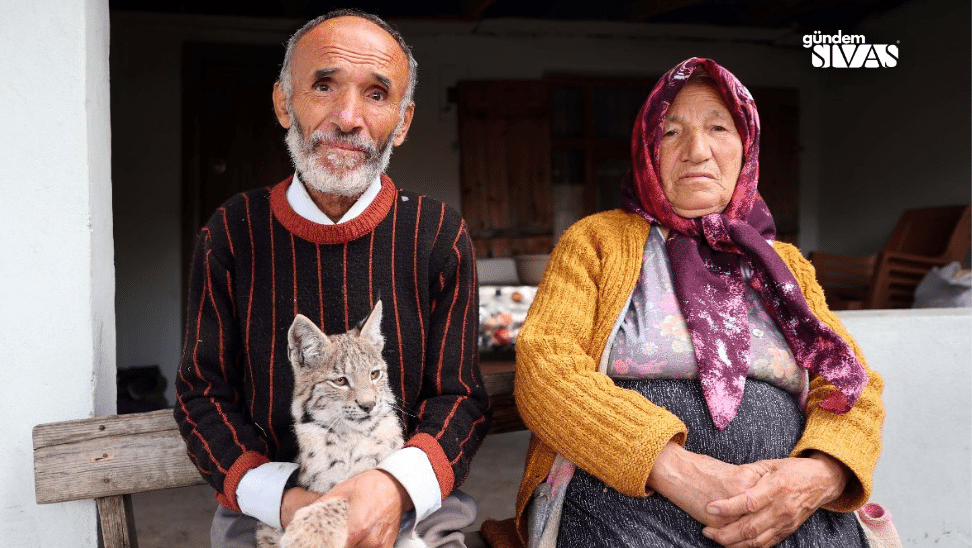 Sivas Ormanlarında Sıra Dışı Misafir