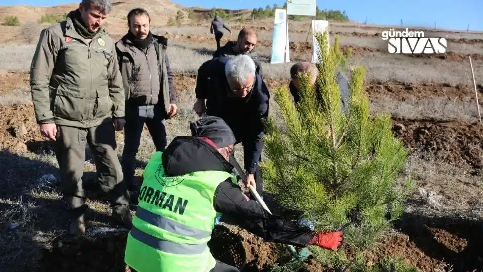 Sivas TSO’dan 10 Bin Fidanlık Dev Adım