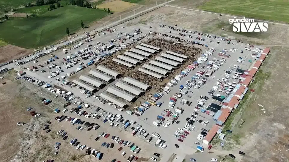 Şarkışla Hayvan Pazarı Yeniden Açılıyor