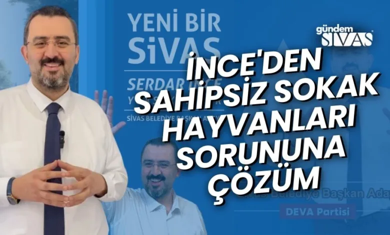 İnce'den Sahipsiz Sokak Hayvanları Sorununa Çözüm