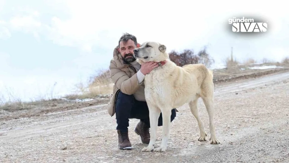 Kangallar Sıcak İklimlere de Ayak Uydurabilir!