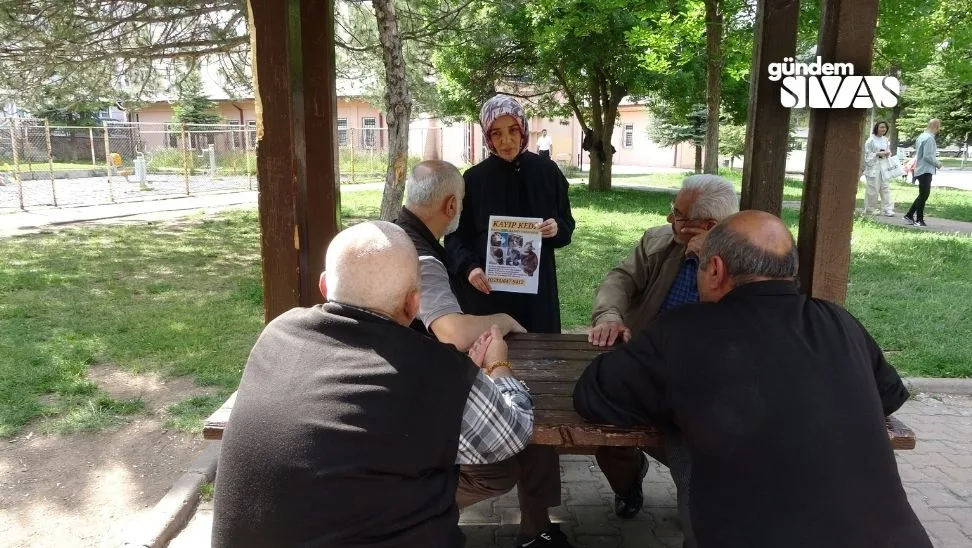 Kaybolan Kedisi için Para Ödülü