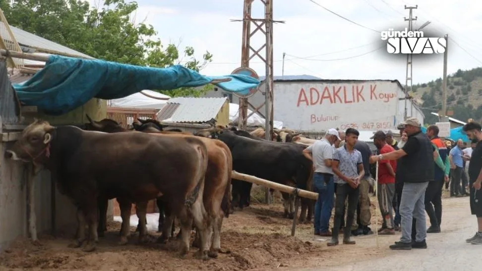 Gundem Sivas Haber 2024 06 10T212522.337 jpg | Gündem Sivas™ | Sivas Haberleri