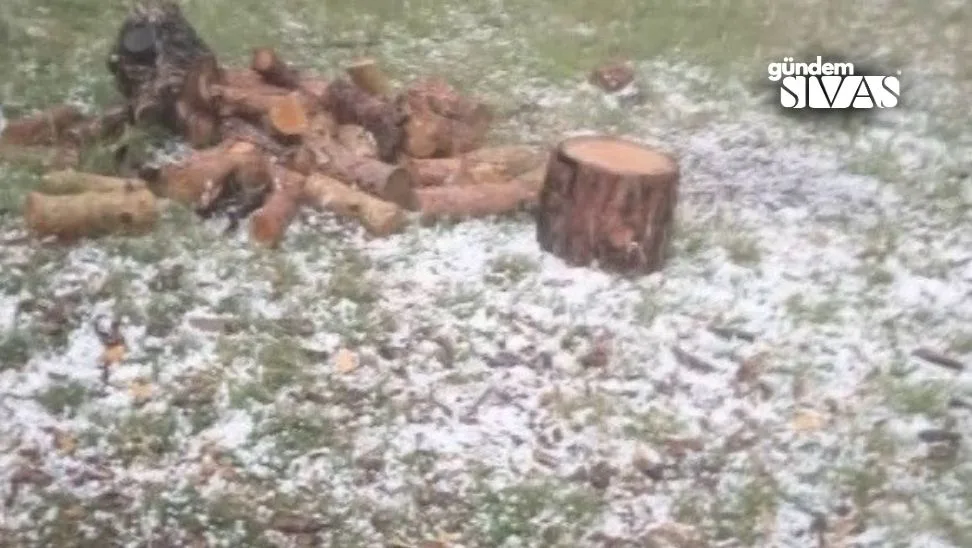 Hava Durumu Şaşırttı: Dolu Yağışı Panik Yarattı