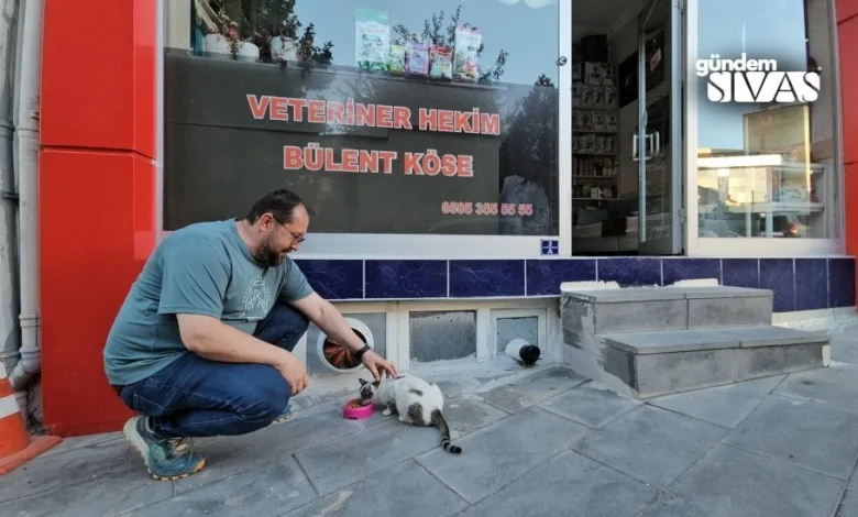 Sivas'ın Gürün ilçesinde bir veteriner kliğinin önünde bulunan mama kabını çalan hırsız, güvenlik kamerası görüntülerine yansıdı. Görüntülerde, mama kabını gagasıyla alıp kaçan bir karganın görüntüsü dikkat çekti.