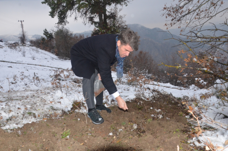 Amasya Valisi Önder Bakan,132 yıl sonra tohumları toprakla buluşturdu