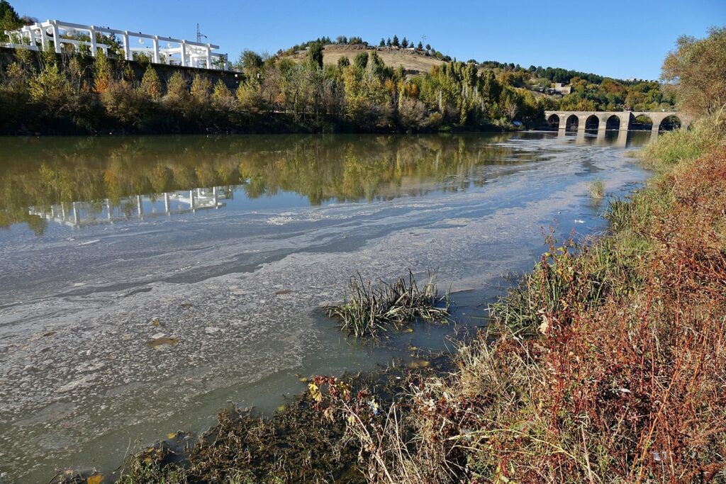 Dicle Nehri ürkütüyor, durum vahim!