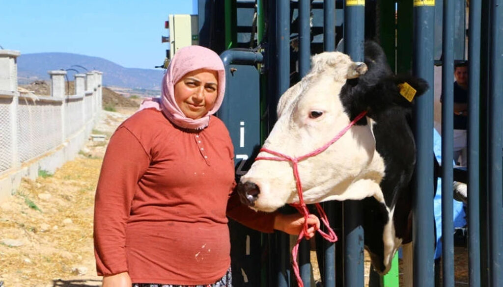 Antalyalı hayvan üreticisine destek