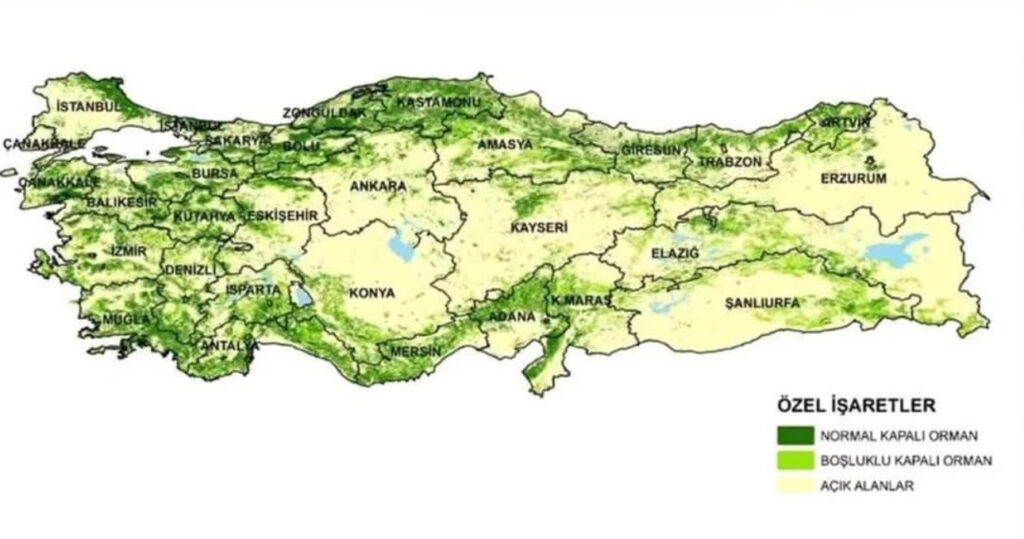 Türkiye’nin en yeşil şehri açıklandı: Antalya rekor kırdı! – Birlik Haber Ajansı