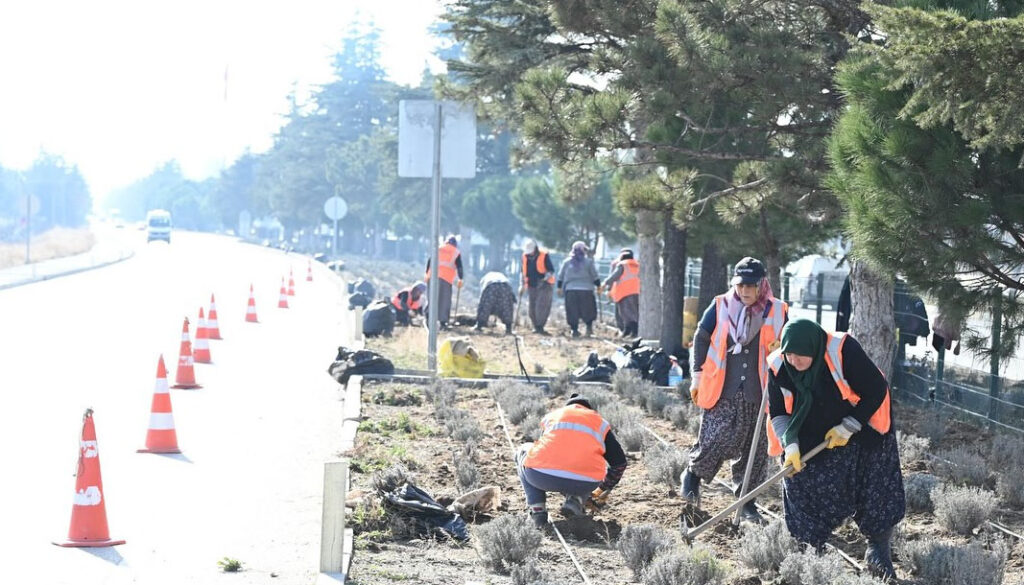 Isparta, gül ve lavanta ile bezeniyor – Birlik Haber Ajansı