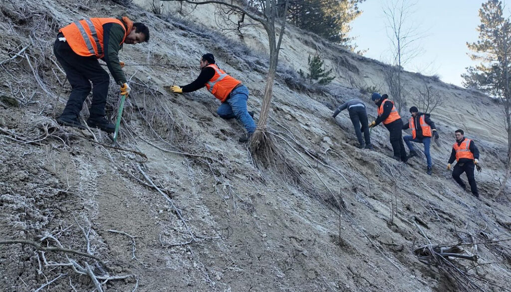 Isparta’da binlerce fidan toprakla buluşturuluyor – Birlik Haber Ajansı